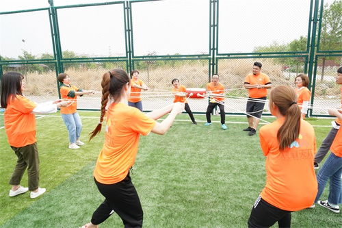 名航企業(yè)管理咨詢(xún)服務(wù) 天津團(tuán)隊(duì)拓展訓(xùn)練